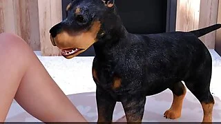 xnxx 20